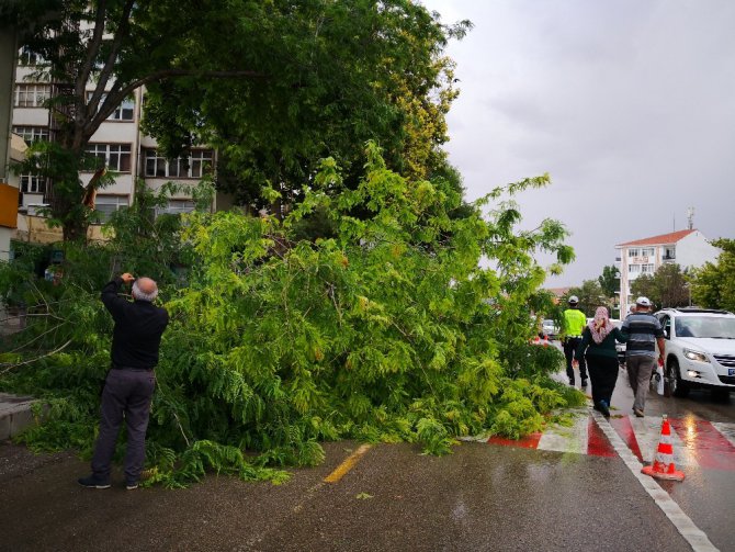 Aksaray’da ağaç devrildi: 2 yaralı