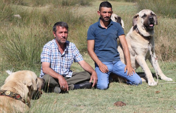 Aksaray Malaklısı 2 bin yıl önce savaşta kullanıldı