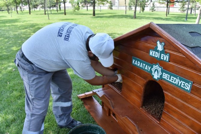 Sokak hayvanları için yeni beslenme istasyonları kuruluyor