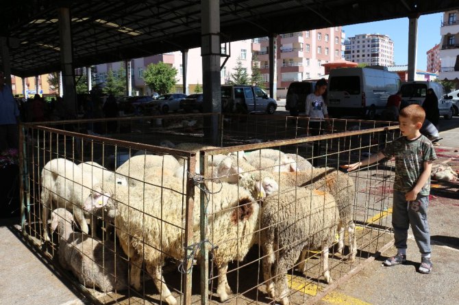 Konya’da Kurban Bayramı manzaraları