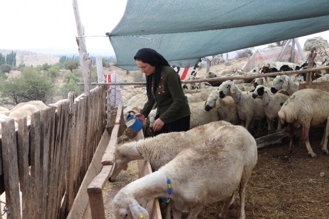 Kadın çiftçi hibe desteği ile başladı, şimdi çiftlik kurdu