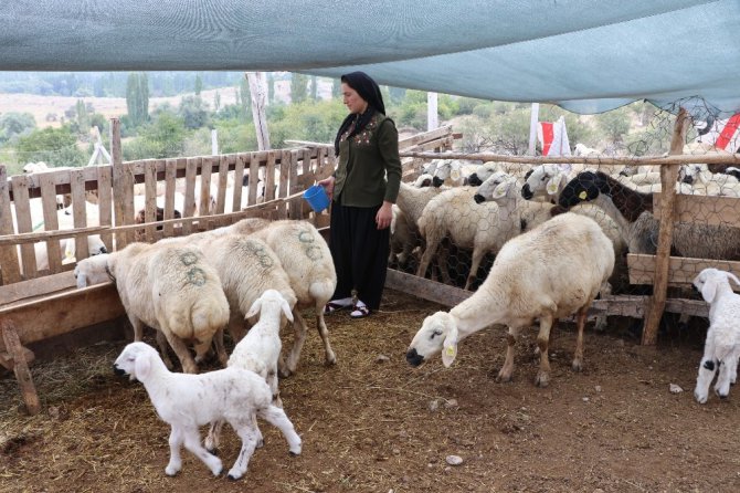 Kadın çiftçi hibe desteği ile başladı, şimdi çiftlik kurdu