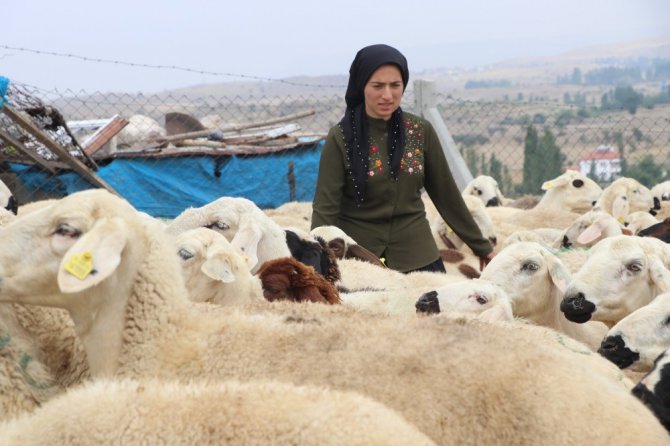 Kadın çiftçi hibe desteği ile başladı, şimdi çiftlik kurdu