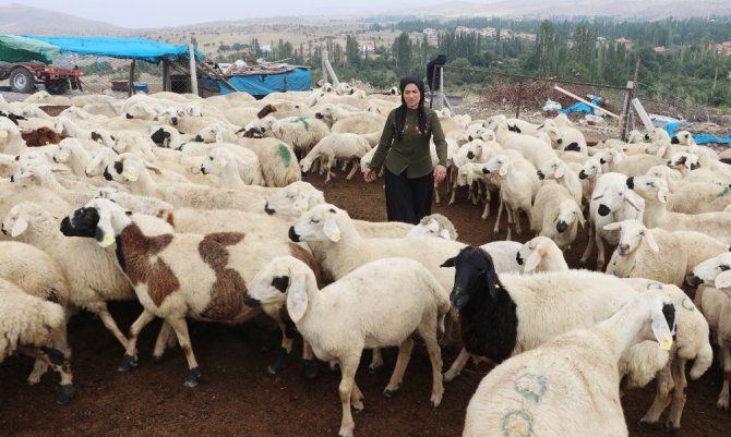 Kadın çiftçi hibe desteği ile başladı, şimdi çiftlik kurdu