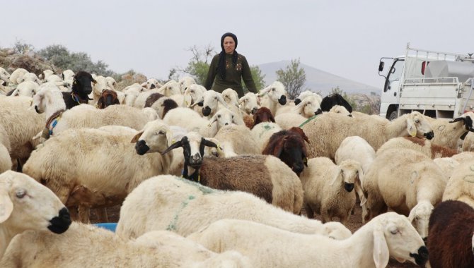 Kadın çiftçi hibe desteği ile başladı, şimdi çiftlik kurdu