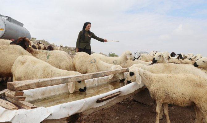 Kadın çiftçi hibe desteği ile başladı, şimdi çiftlik kurdu