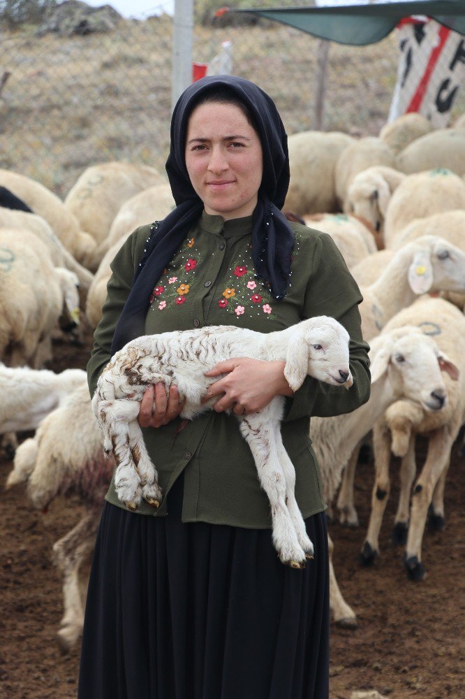 Kadın çiftçi hibe desteği ile başladı, şimdi çiftlik kurdu