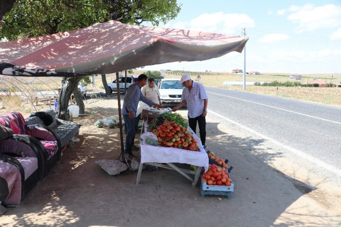 Ürünleri bahçeden toplayarak satın alıyorlar