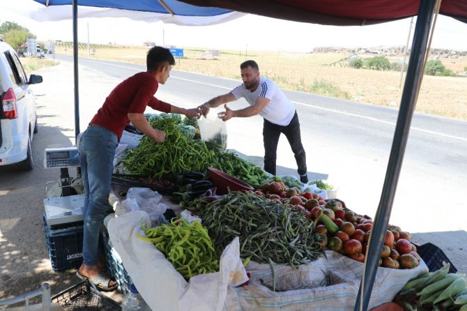 Ürünleri bahçeden toplayarak satın alıyorlar