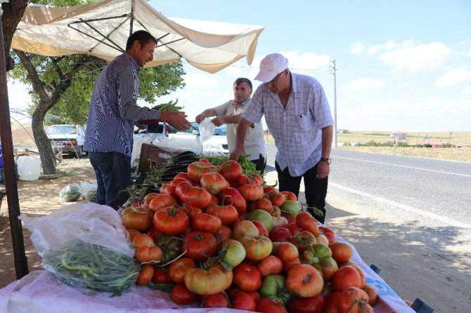 Ürünleri bahçeden toplayarak satın alıyorlar