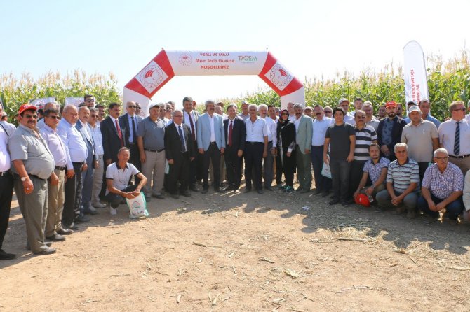 Konya’da 6 çeşit yerli mısır tohumu çiftçiye tanıtıldı