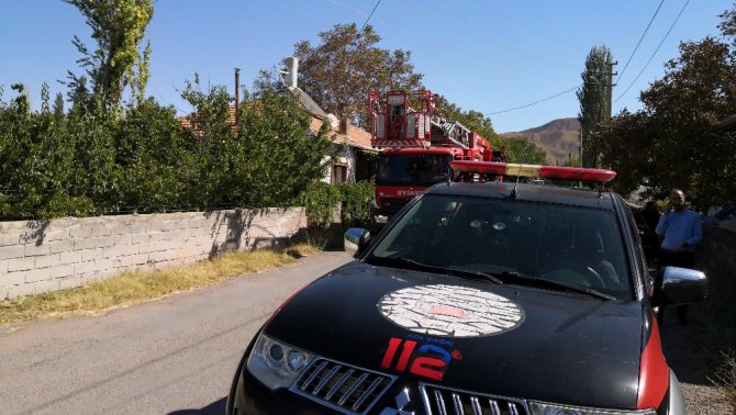 Ağaç budarken kafası ipe dolanan şahıs hayatını kaybetti