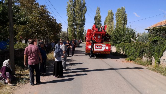 Ağaç budarken kafası ipe dolanan şahıs hayatını kaybetti