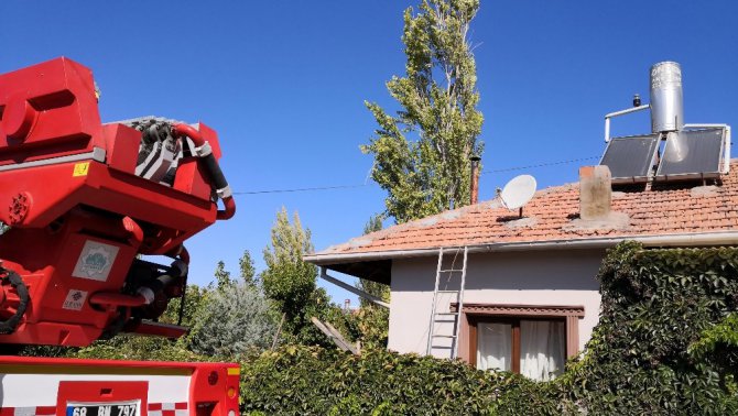 Ağaç budarken kafası ipe dolanan şahıs hayatını kaybetti