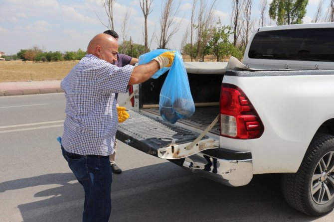 Vicdansızlar gelinciği boynundan ve ayaklarından bağlayıp direğe astılar