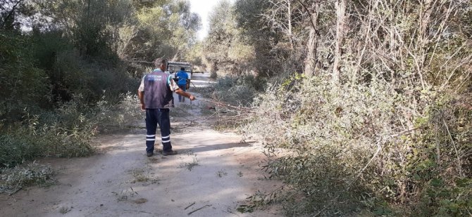 Beyşehir’de güz mesaisi