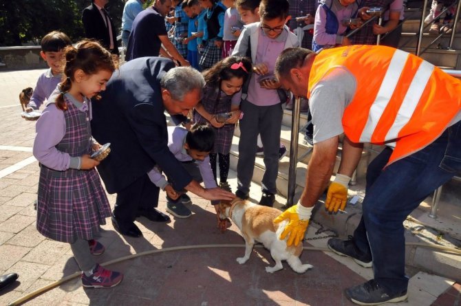 Akşehir Belediyesi çocuklara hayvan sevgisini aşılıyor