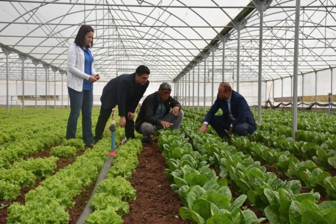 Aksaray’da sera projeleri üreticinin yüzünü güldürüyor