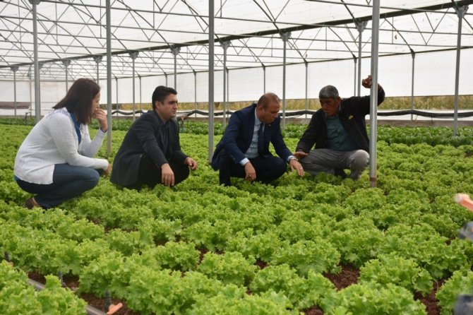 Aksaray’da sera projeleri üreticinin yüzünü güldürüyor