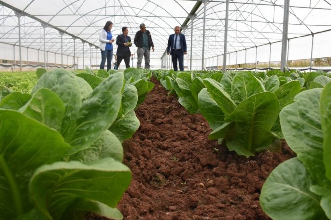 Aksaray’da sera projeleri üreticinin yüzünü güldürüyor