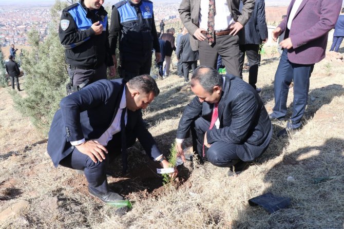 Aksaray’ın il oluşunun 30. yılı 30 bin fidan dikilerek kutlandı