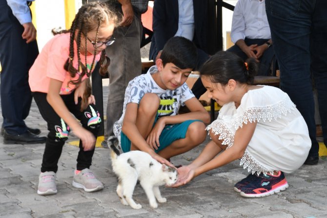 Aksaray Belediyesi sokak hayvanlarına şefkat eli uzatıyor