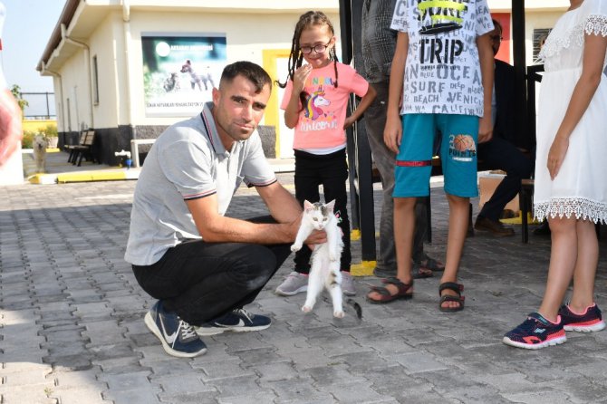 Aksaray Belediyesi sokak hayvanlarına şefkat eli uzatıyor