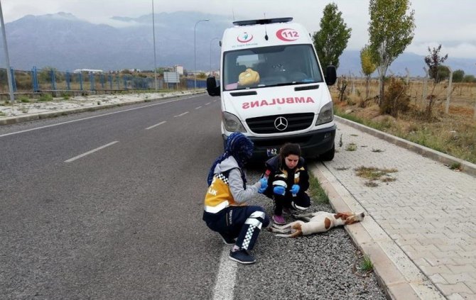 Konya’da 112 çalışanları ’Paşa’ için gözyaşı döktü