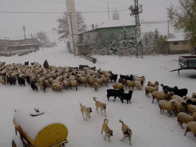 Konya’da yaylalar beyaza büründü