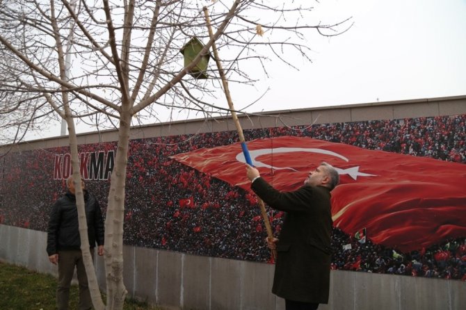 ASÜ’de ağaçlara kuşlar için yuva yerleştirildi