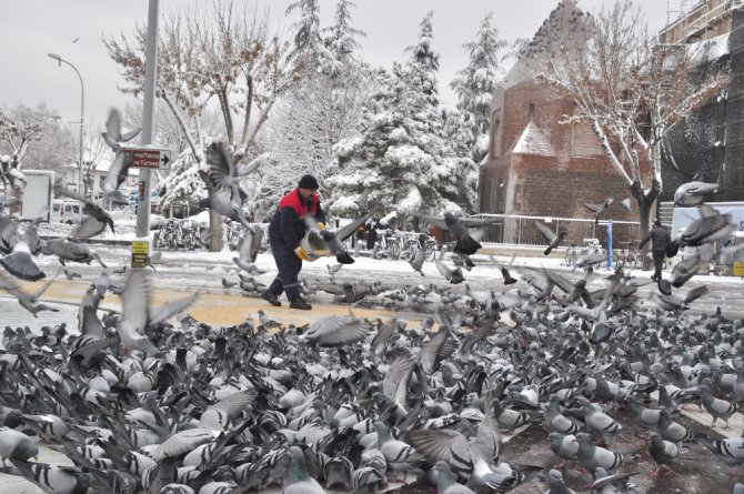 Karatay Belediyesi sokak hayvanlarını unutmuyor