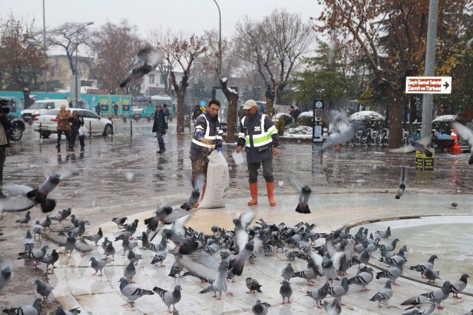 Sahipsiz hayvanlara düzenli olarak yiyecek bırakılıyor