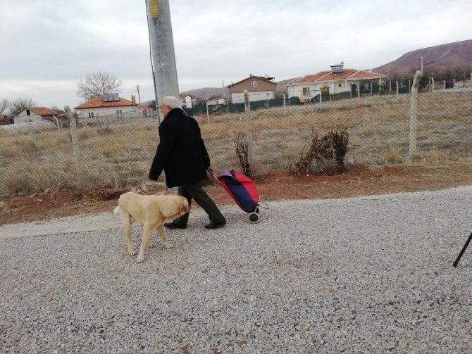 Aksaray’da 20 yıldır pazar arabasıyla hayvanlara yiyecek taşıyor