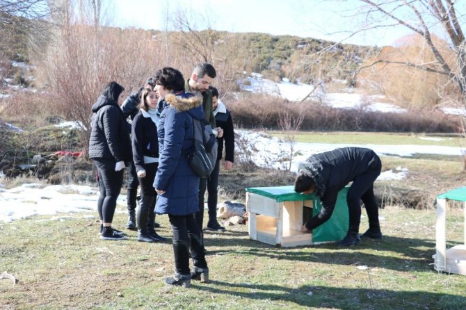 Üniversite öğrencilerinden sokak hayvanlarına “sıcak bir yuva” projesi