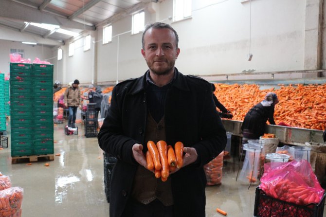 Havucun merkezi Konya’da yaz kış mesai devam ediyor