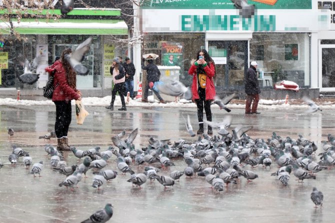 Aksaray’da soğuk havada kuşlara vatandaşlardan yem