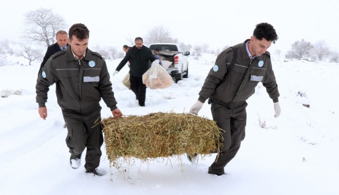 Aksaray’da yaban hayvanları için doğaya yem bırakıldı