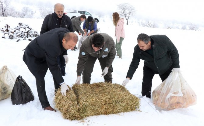 Aksaray’da yaban hayvanları için doğaya yem bırakıldı