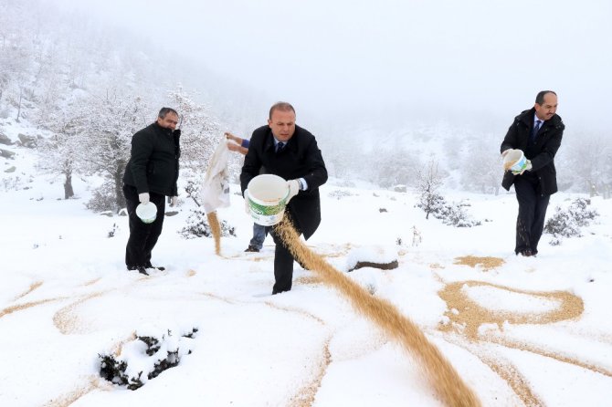 Aksaray’da yaban hayvanları için doğaya yem bırakıldı