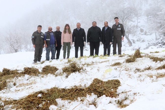 Aksaray’da yaban hayvanları için doğaya yem bırakıldı