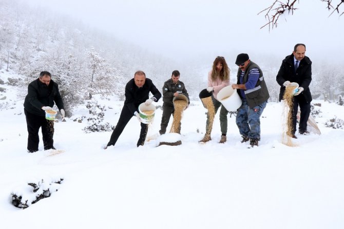 Aksaray’da yaban hayvanları için doğaya yem bırakıldı