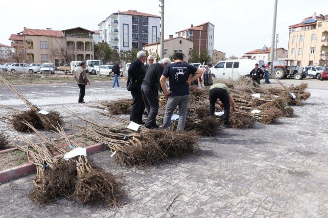 Aksaray’da çiftçilere yüzde 50 hibeli 19 bin 150 fidan verildi