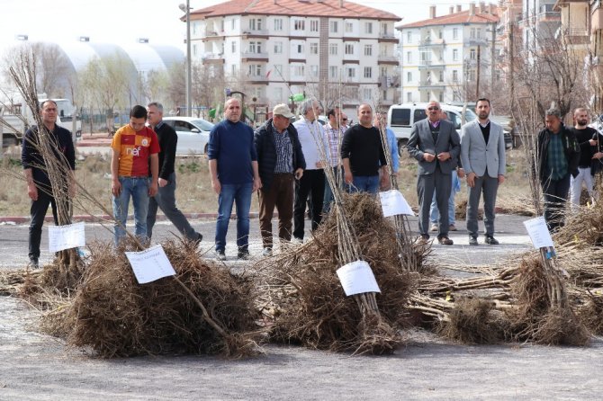 Aksaray’da çiftçilere yüzde 50 hibeli 19 bin 150 fidan verildi