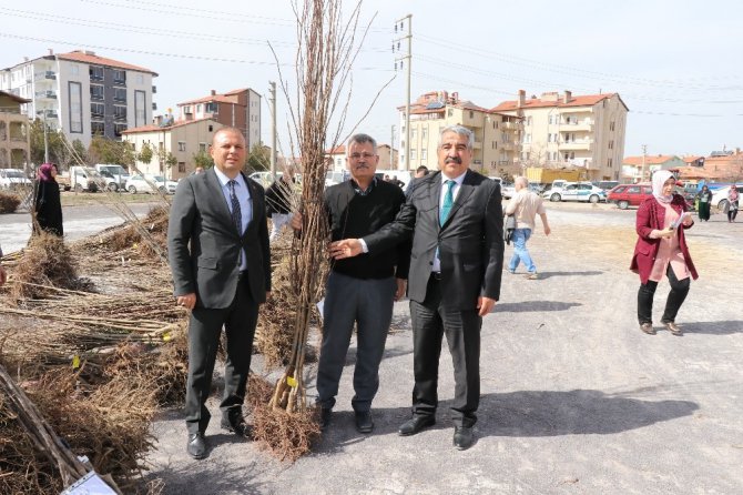 Aksaray’da çiftçilere yüzde 50 hibeli 19 bin 150 fidan verildi