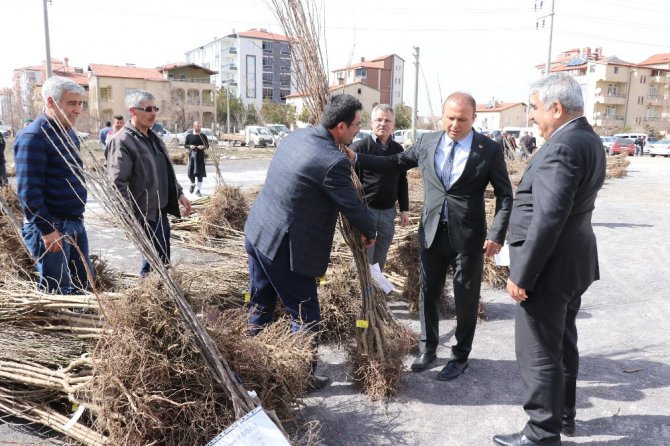 Aksaray’da çiftçilere yüzde 50 hibeli 19 bin 150 fidan verildi