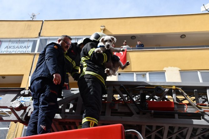 Balkonda mahsur kalan yavru köpeği itfaiye kurtardı