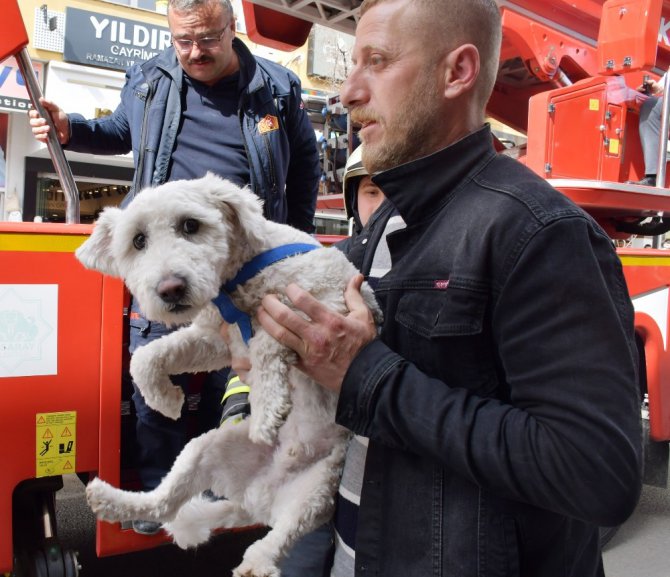 Balkonda mahsur kalan yavru köpeği itfaiye kurtardı