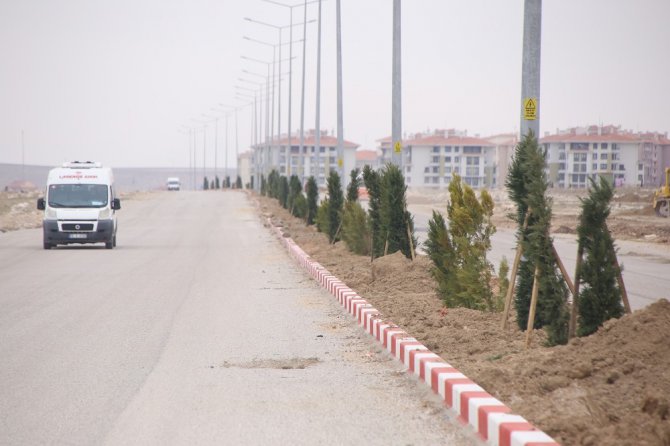 Karaman’da refüjlerde ağaçlandırma çalışması