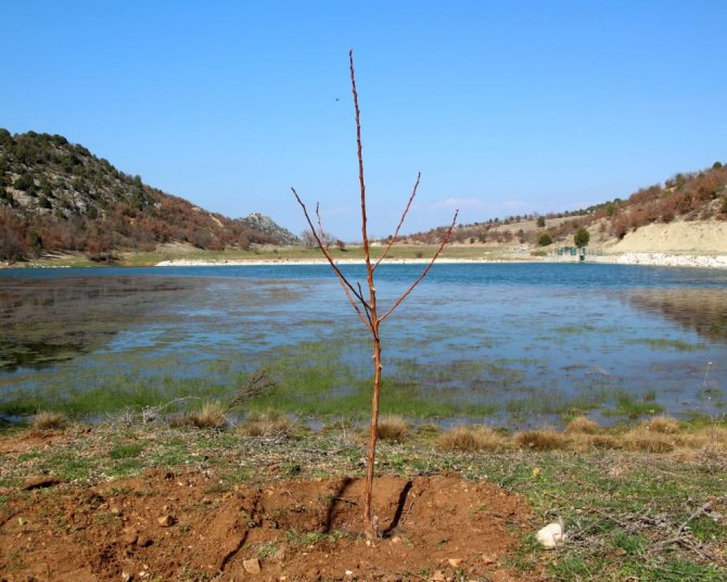 Beyşehir’de mahalleli gençlerden “Benim de dikili bir fidanım olsun” etkinliği