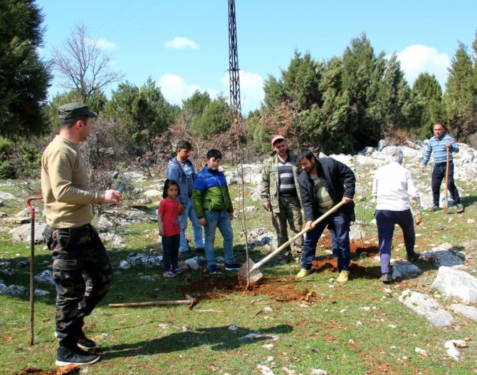 Beyşehir’de mahalleli gençlerden “Benim de dikili bir fidanım olsun” etkinliği